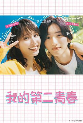 黑河seo优化推广软件